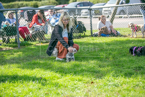 Scruffts Detling Heat 20th Sept 2026-063