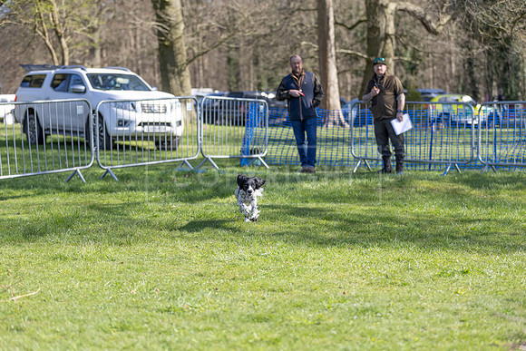Thoresby Sun 30th Mar 25-047