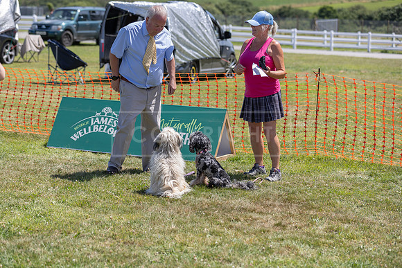 Scruffts heat @ Wadebridge 13th July 2025-85
