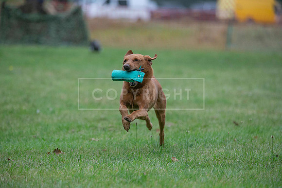 Jixenwell Scurry Challenge Final 2024-0124
