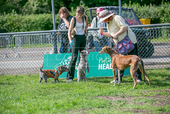 Scruffts Detling Heat 20th Sept 2026-108