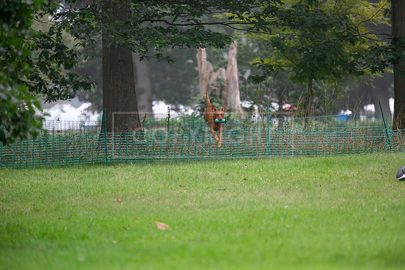 Jixenwell Scurry Challenge Final 2024-0154