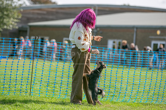 Scruffts Detling Heat 20th Sept 2026-083