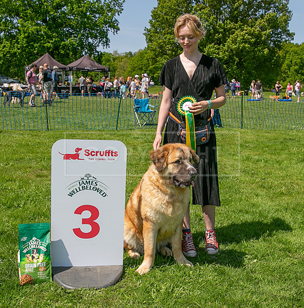 Scruffts at Trentham Park 21st May 2023-23