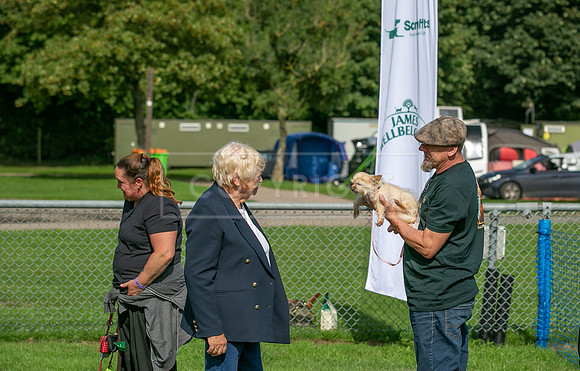 Scruffts Detling Heat 20th Sept 2026-120