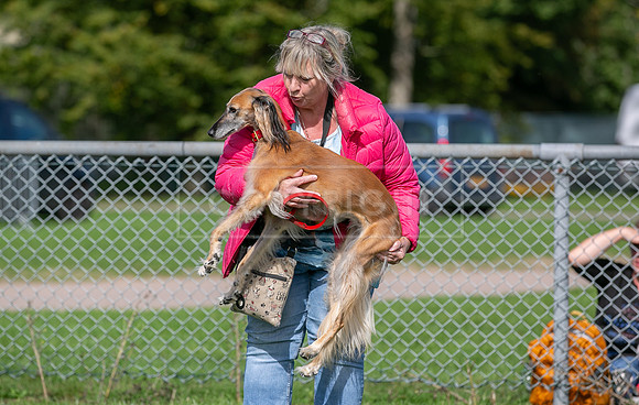 Scruffts Detling Heat 20th Sept 2026-112
