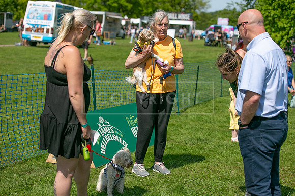 Scruffts at Trentham Park 21st May 2023-55