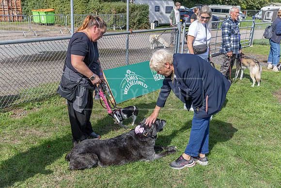 Scruffts Detling Heat 20th Sept 2026-070