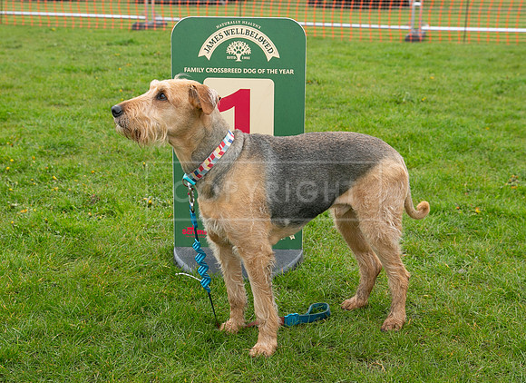 Scruffts  Newark 23 Apr 23-25