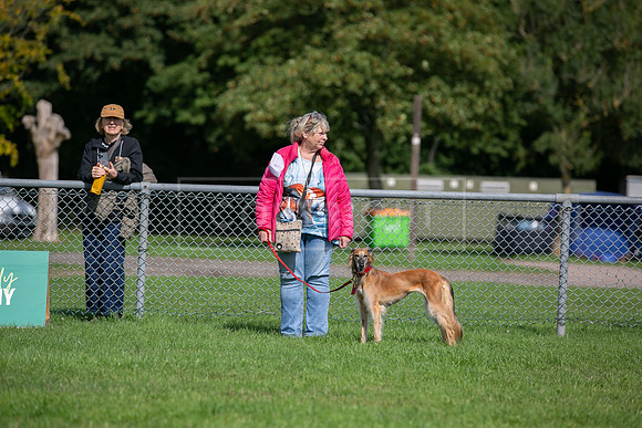 Scruffts Detling Heat 20th Sept 2026-057