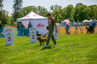 Scruffts at Trentham Park 21st May 2023-11