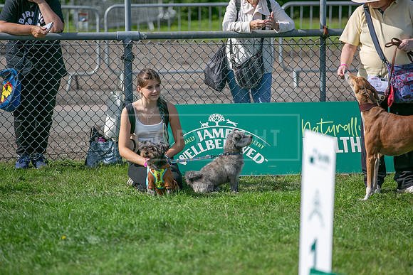 Scruffts Detling Heat 20th Sept 2026-124