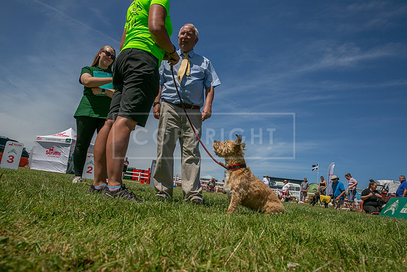 Scruffts heat @ Wadebridge 13th July 2025-77
