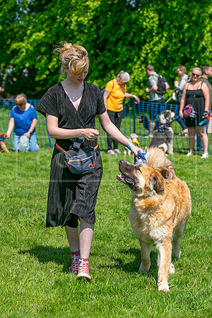 Scruffts @ Trentham Park 21st May 2023-78