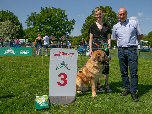 Scruffts at Trentham Park 21st May 2023-22