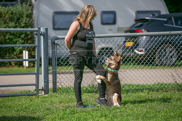 Scruffts Detling Heat 20th Sept 2026-117