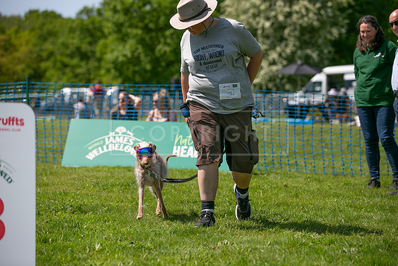 Scruffts at Trentham Park 21st May 2023-34