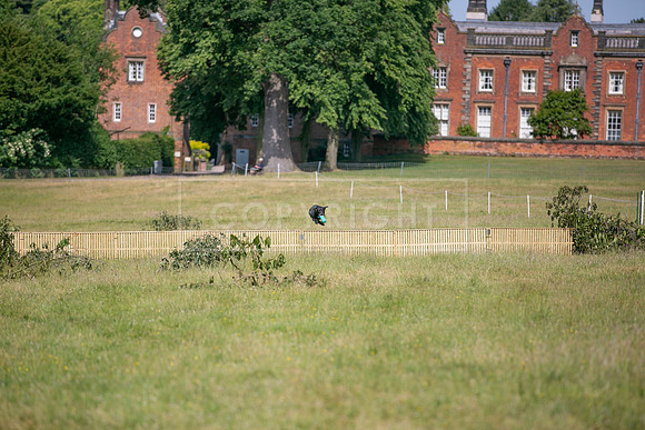 Capesthorne Hall Thursday 15th June 2023-018
