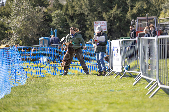 Thoresby Sun 30th Mar 25-228