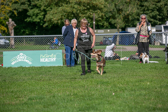 Scruffts Detling Heat 20th Sept 2026-143