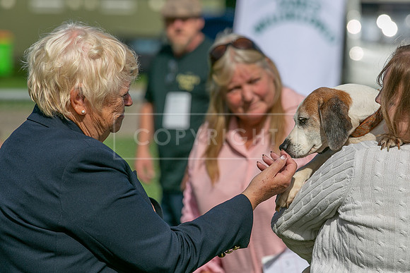 Scruffts Detling Heat 20th Sept 2026-123