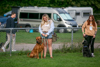 Scruffts Detling Heat 20th Sept 2026-003