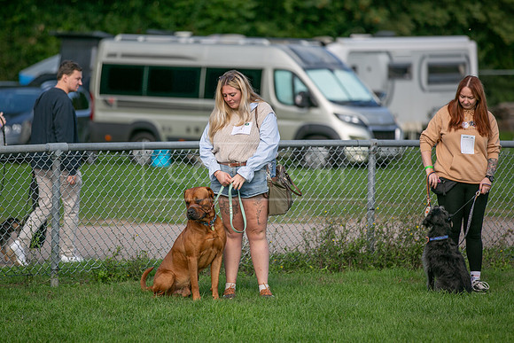 Scruffts Detling Heat 20th Sept 2026-003