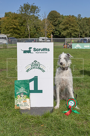 Scruffts Detling Heat 20th Sept 2026-095