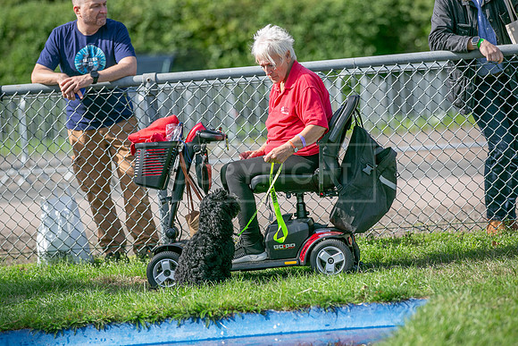 Scruffts Detling Heat 20th Sept 2026-056