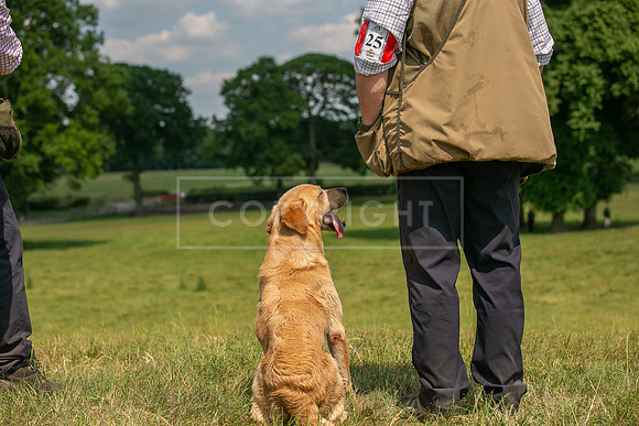Capesthorne Hall Friday 16th June 2023-092