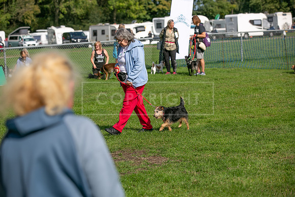 Scruffts Detling Heat 20th Sept 2026-138