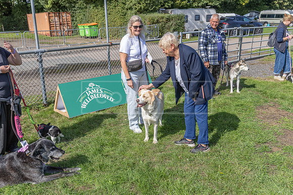 Scruffts Detling Heat 20th Sept 2026-071