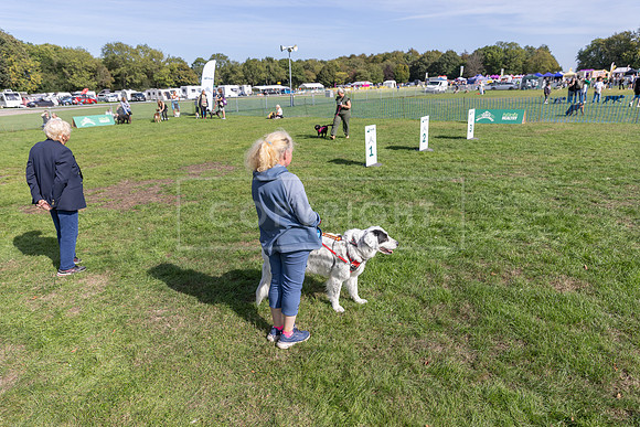 Scruffts Detling Heat 20th Sept 2026-135