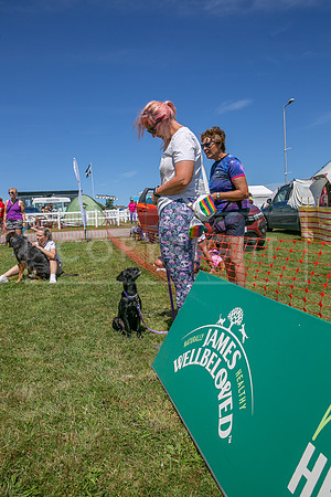 Scruffts heat @ Wadebridge 13th July 2025-25