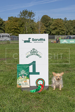 Scruffts Detling Heat 20th Sept 2026-127