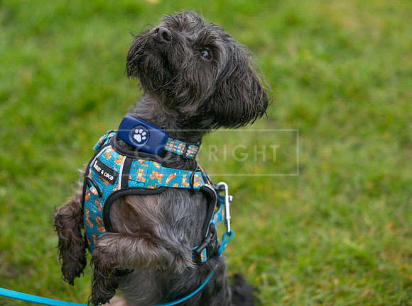 Scruffts  Newark 23 Apr 23-48