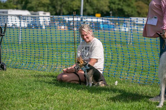 Scruffts Detling Heat 20th Sept 2026-111