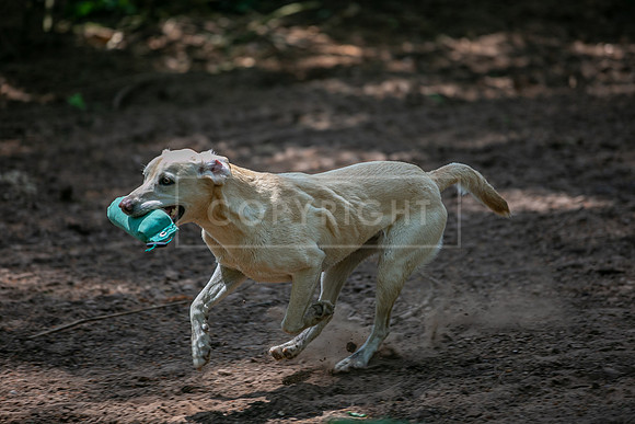 Capesthorne Hall Friday 16th June 2023-067