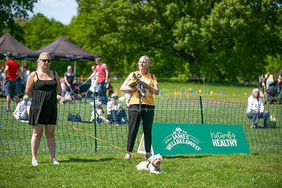 Scruffts at Trentham Park 21st May 2023-56