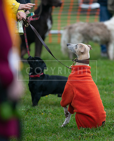 Scruffts  Newark 23 Apr 23-50