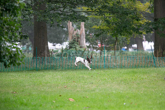 Jixenwell Scurry Challenge Final 2024-0320