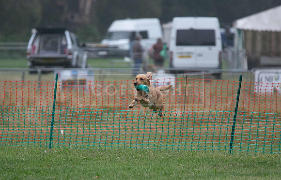 Jixenwell Scurry Challenge Final 2024-0100