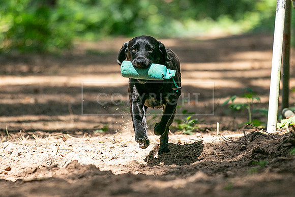 Capesthorne Hall Friday 16th June 2023-044