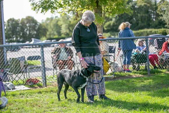 Scruffts Detling Heat 20th Sept 2026-064