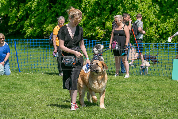 Scruffts @ Trentham Park 21st May 2023-75