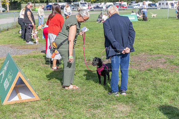 Scruffts Detling Heat 20th Sept 2026-134