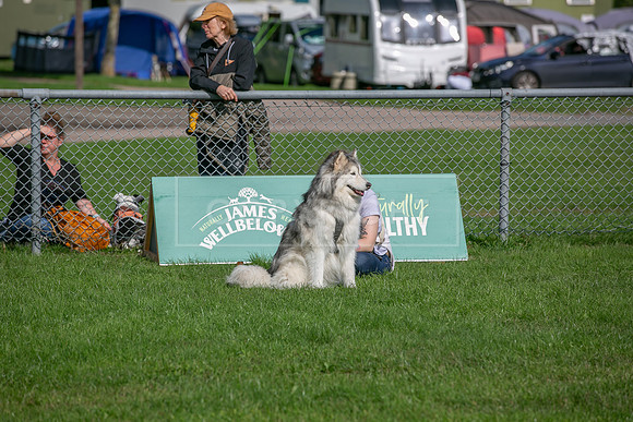 Scruffts Detling Heat 20th Sept 2026-068