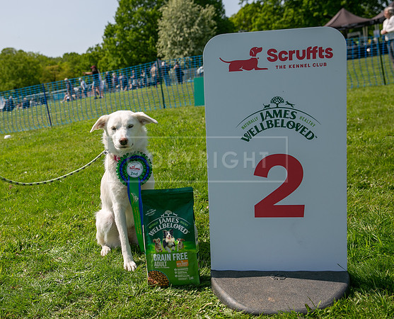 Scruffts at Trentham Park 21st May 2023-71