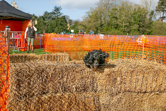 Thoresby Sun 30th Mar 25-005
