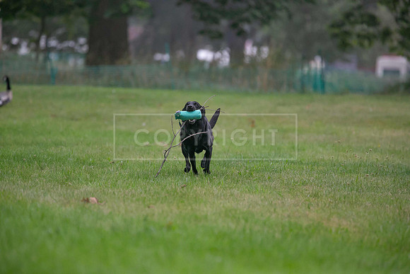 Jixenwell Scurry Challenge Final 2024-0116